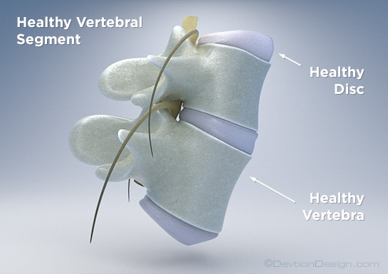 Healthy Spine & Discs