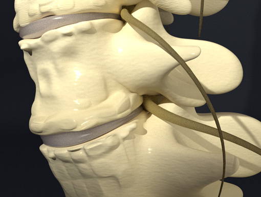 Interactive Spine